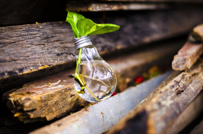 Upcycled Goods